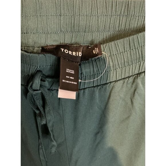 Torrid Size 4R Relaxed Fit Brick Teal Cargo Jogger Stretch Waist NWOT - Picture 3 of 4